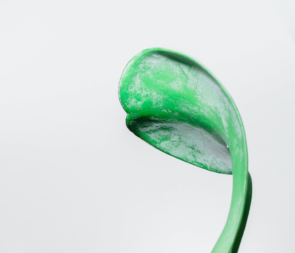 .chloroplastics